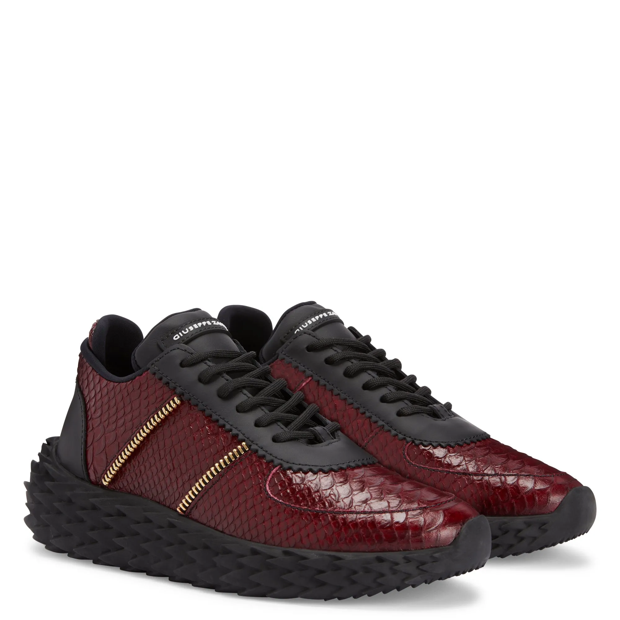 Giuseppe Zanotti Urchin